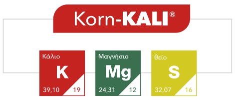 Korn kali