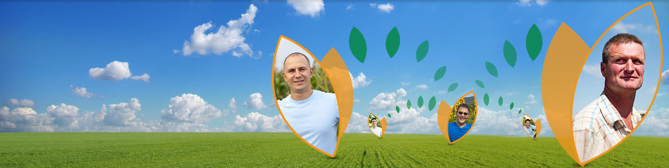haifa banner 3