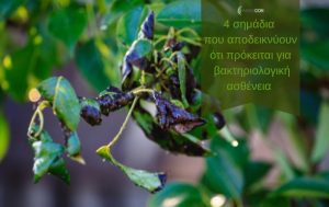 Τέσσερα σημάδια που αποδεικνύουν ότι πρόκειται για βακτηριολογική ασθένεια
