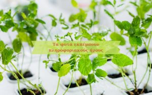 Τα φυτά εκπέμπουν πληροφοριακούς ήχους όταν βρίσκονται σε υδατικό στρες