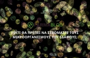 Γιατί θα πρέπει να σεβόμαστε τους Μικροοργανισμούς του εδάφους;