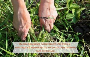 Εναλλακτικές πρακτικές για την αντιμετώπιση ζιζανίων