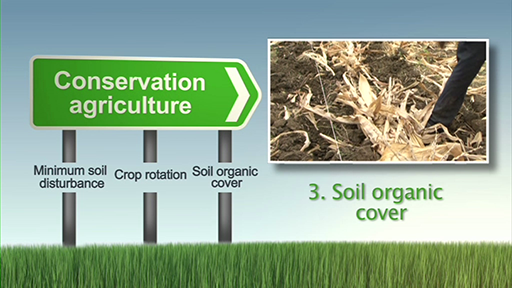 049 slm12 conservation agriculture