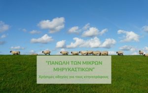 Χρήσιμες οδηγίες για τους κτηνοτρόφους σχετικά με την Πανώλη των Μικρών Μηρυκαστικών