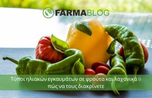 Τύποι ηλιακών εγκαυμάτων σε φρούτα και λαχανικά & πώς να τους διακρίνετε