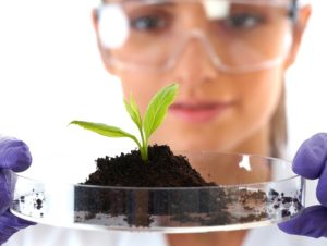 Οδηγίες Δειγματοληψίας Εδάφους, από την AGROLAB RDS