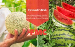 Verimark® 20SC | κατ’ εξαίρεση έγκριση εναντίον των αφίδων στις καλλιέργειες καρπουζιού & του πεπονιού υπαίθρου