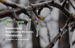 Κανονισμός Ασφάλισης Φυτικής Παραγωγής από τον ΕΛΓΑ – Τι πρέπει να γνωρίζουμε