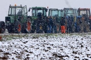 ΕΛΓΑ: Οδηγίες για τις διαδικασίες και τα δικαιολογητικά των αποζημιώσεων από τον παγετό