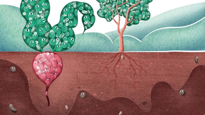 134556 Microbiome Hero Web