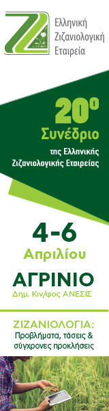 160x600