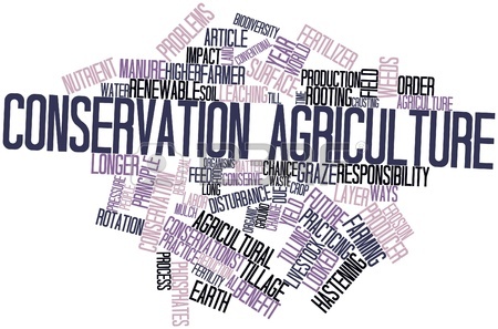 16498488 abstract word cloud for conservation agriculture with related tags and terms