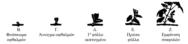 17.05.2022