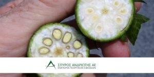 Η αποφύλλωση του Βαμβακιού και γιατί είναι σημαντική η επιτυχία της