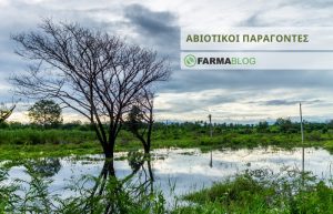 Προστασία των φυτών από τους αβιοτικούς παράγοντες