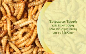 Έντομα ως Τροφή και Ζωοτροφή: Μια Βιώσιμη Λύση για το Μέλλον