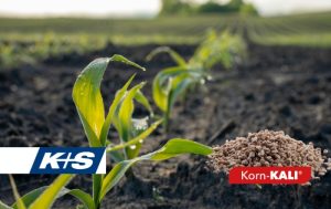 Korn-KALI® – Το Πολυεγραλείο