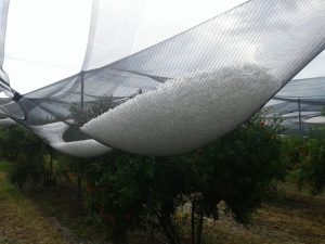 Επιχορήγηση μέσων ενεργητικής προστασίας: Αντιχαλαζικό δίχτυ και αντιβροχική μεμβράνη