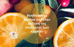Πώς να βοηθήσετε τα δένδρα σας στην αύξηση της ποιότητας των καρπών