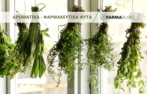 Καλλιεργητικές πρακτικές Αρωματικών και Φαρμακευτικών φυτών