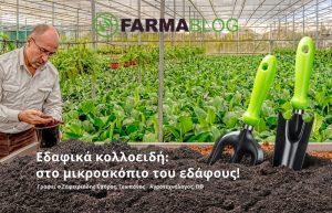 Εδαφικά κολλοειδή: στο μικροσκόπιο του εδάφους!