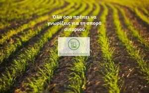 Εγχειρίδιο Καλλιεργητή – Όλα όσα πρέπει να γνωρίζεις για τη σπορά σιταριού