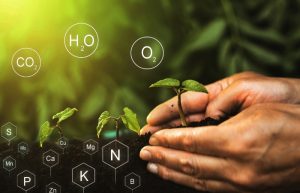 Τα 14 Απαραίτητα Θρεπτικά Στοιχεία για την Ανάπτυξη των Υγιών και Εύρωστων Φυτών