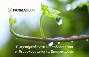 Πώς επηρεάζονται οι αποδόσεις από το ύψος των βροχοπτώσεων και τη θερμοκρασία