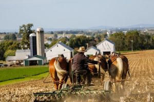 Μόνο όσοι τηρούν βιβλία εσόδων – εξόδων θεωρούνται κατ΄ επάγγελμα αγρότες