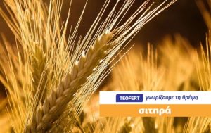 Οι προτάσεις της TEOFERT για Βασική λίπανση στα Σιτηρά, χωρίς νιτρικά!