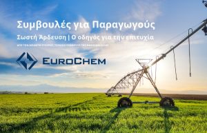 Σωστή άρδευση | Ο οδηγός για την επιτυχία