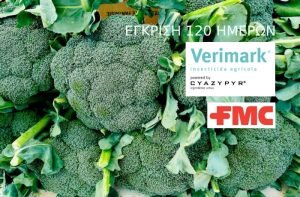Άδεια διάθεσης στο εντομοκτόνο VERIMARK® 20 SC (δραστική ουσία: cyazypyr®), για περιορισμένη χρήση στο μπρόκολου υπαίθρου