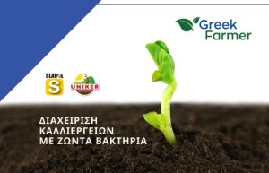 Διαχείριση καλλιεργειών με ζώντα βακτήρια