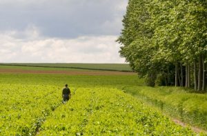Η DuPont ™ δίνει 6 απλά βήματα που θα μειώσουν τον κίνδυνο να αγοράσετε κατά λάθος παράνομα φυτοφάρμακα