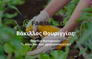 Βάκιλλος θουριγγίας (bacillus thuringiensis) τι είναι και πως χρησιμοποιείται?