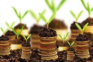 Αγροτικά – και όχι μόνο – “μικροδάνεια” έως 25.000 ευρώ, για έναρξη ή επέκταση επιχείρησης