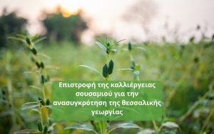 Επιστροφή της καλλιέργειας σουσαμιού για την ανασυγκρότηση της θεσσαλικής γεωργίας