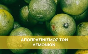 Πως πραγματοποιείται ο αποπρασινισμός των λεμονιών