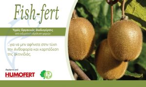 FISH-FERT: Για να μην αφήνετε στην τύχη την καρπόδεση της Ακτινιδιάς