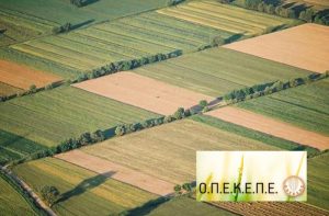 Πως θα κάνετε μεταβίβαση των δικαιωμάτων βασικής ενίσχυσης