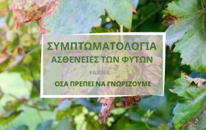 Όλα όσα πρέπει να γνωρίζετε για τη συμπτωματολογία και τις ασθένειες των φυτών