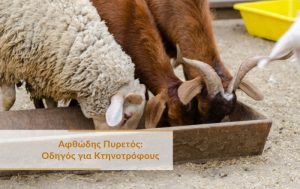 Αφθώδης Πυρετός: Οδηγός για Κτηνοτρόφους