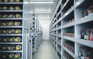 Ελληνική Τράπεζα Σπόρων: Ένας ανεκμετάλλευτος θησαυρός