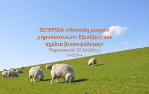 Πανώλη αιγοπροβάτων: Εκδήλωση ενημέρωσης κτηνοτρόφων την Παρασκευή στην Ελασσόνα