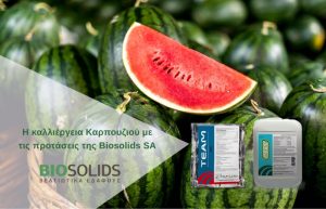 Η καλλιέργεια Καρπουζιού με τις προτάσεις της Biosolids SA