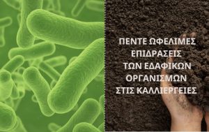 Πέντε ωφέλιμες επιδράσεις των εδαφικών οργανισμών στις καλλιέργειες