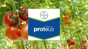 Proteus – Άμεση καταπολέμηση του Πράσινου Σκουληκιού και της Tuta Absoluta