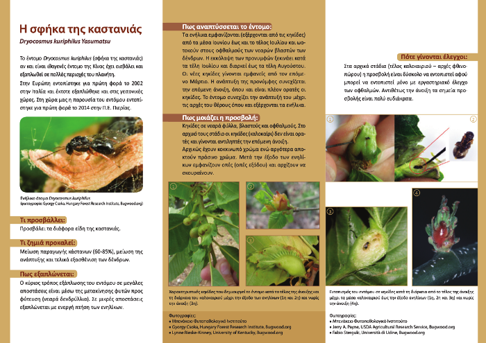 3PTYXO SFHKA KASTANIAS page2