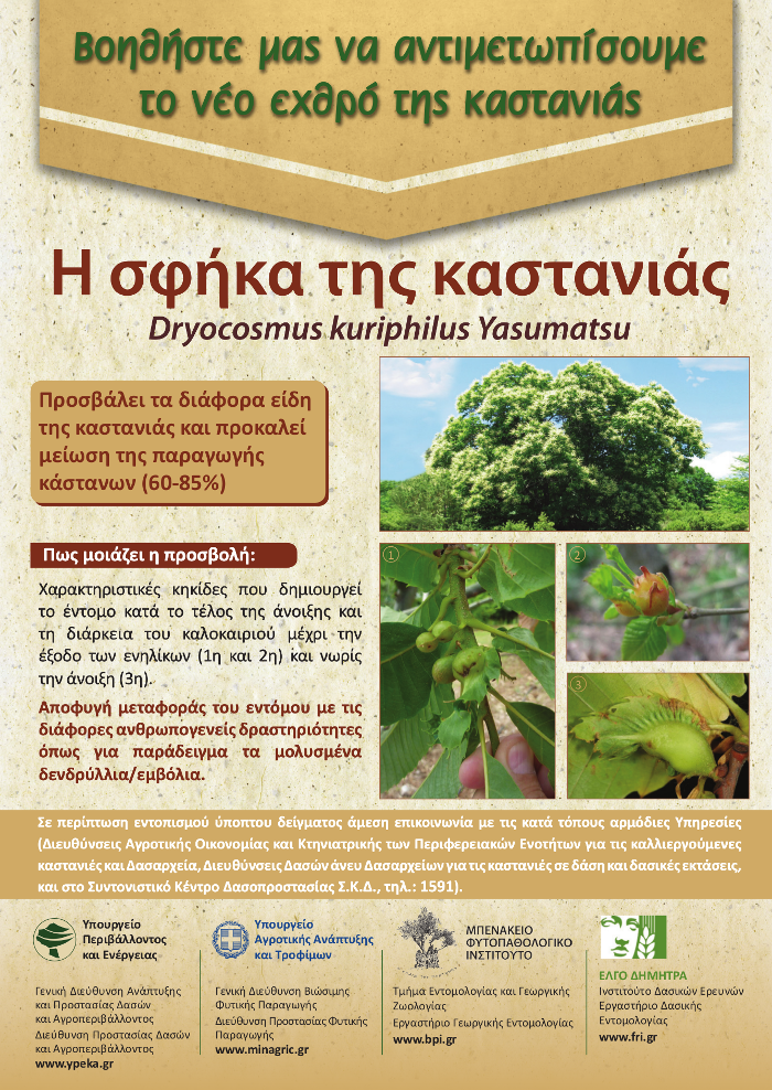 3PTYXO SFHKA KASTANIAS page3