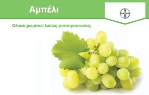 Συνδυαστική προστασία Αμπελιού από τη BAYER